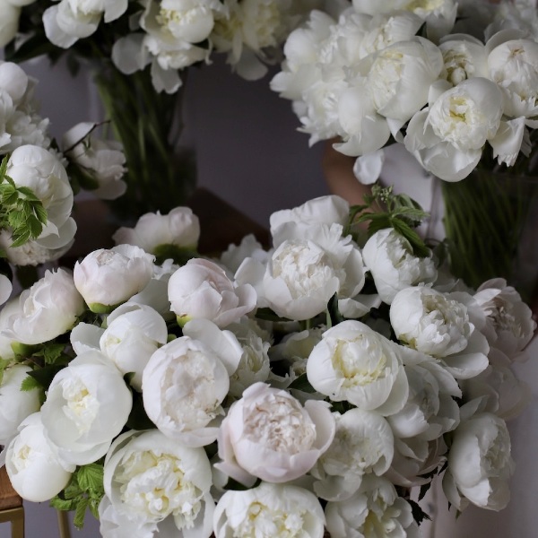 Snow-white set of Peonies