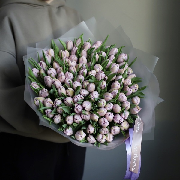 Lilac Tulips -  99 тюльпанов 