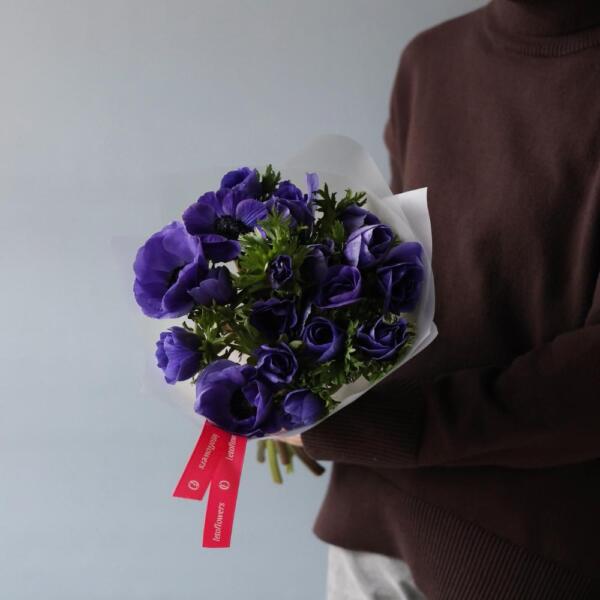 Purple Anemone -  19 анемон 