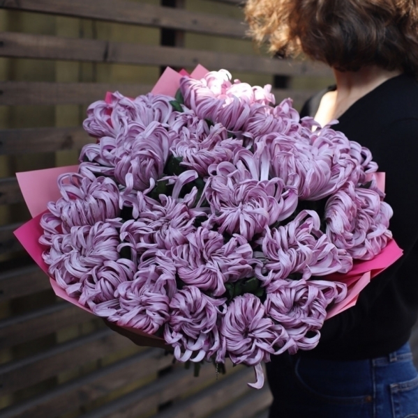 Curly lilac Chrysanthemum - 19 хризантем