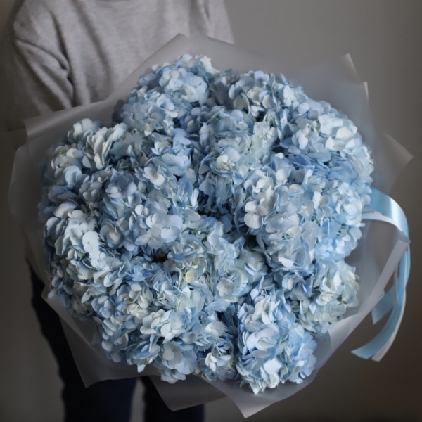 Colombian Hydrangeas - 19 гортензий