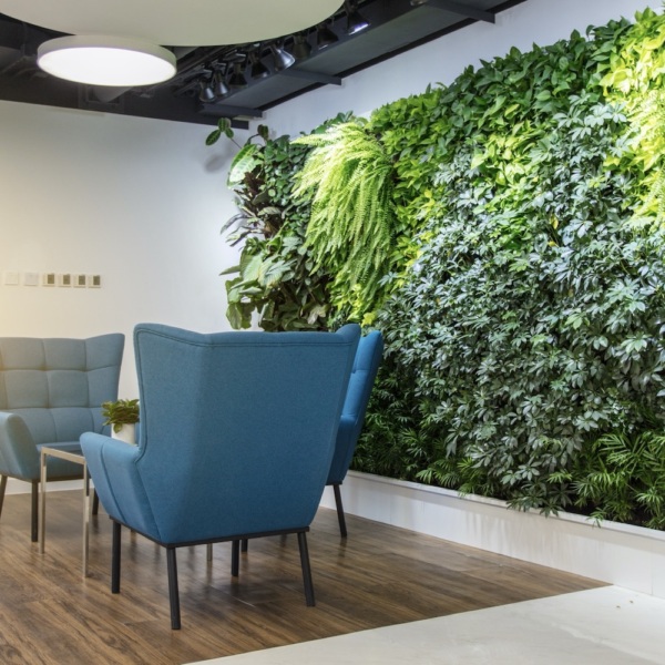 Vertical garden