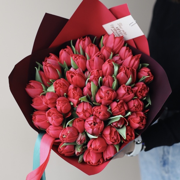 Red Tulips - 49 тюльпанов