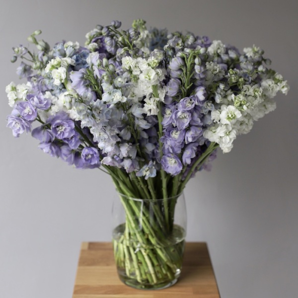 Stock and Delphinium in a vase - Размер L