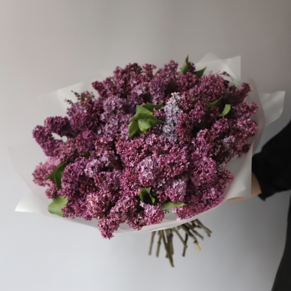 Local Lilac - Размер XL