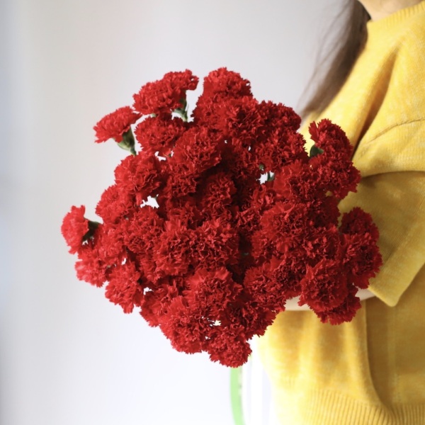 Red carnations -  49 гвоздик 