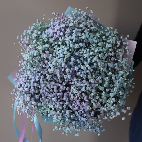 Rainbow Baby's Breath - 25 гипсофил