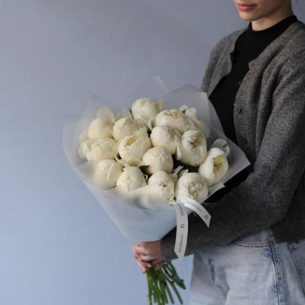 White Peony - 15 пионов