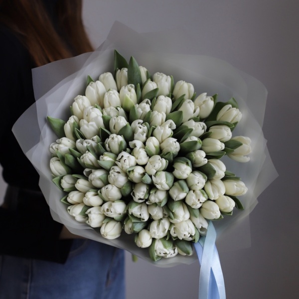 White Tulips -  75 тюльпанов