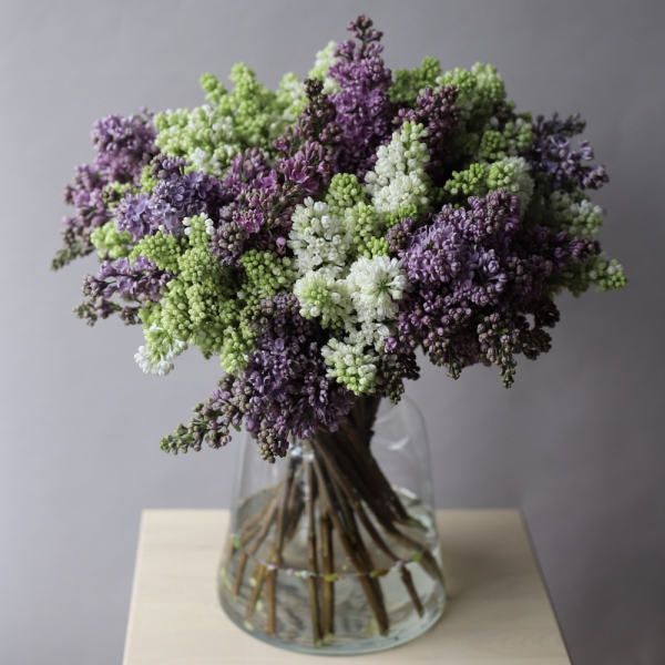 Lilac in a vase - 29 веток сирени