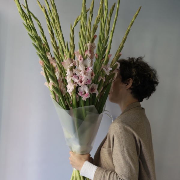 Pink Gladiolus - 19 гладиолусов
