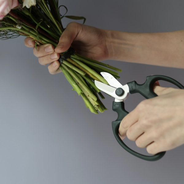 Secateurs