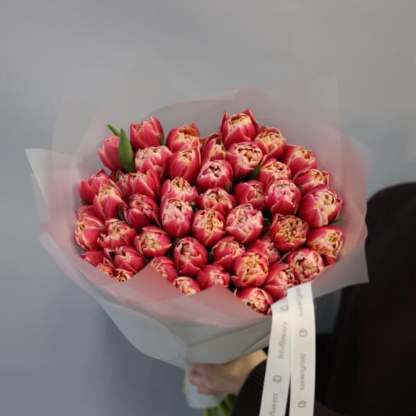 Bright-pink Tulips - 49 тюльпанов