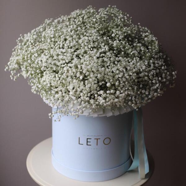 Baby's Breath in a hat box - Размер XL