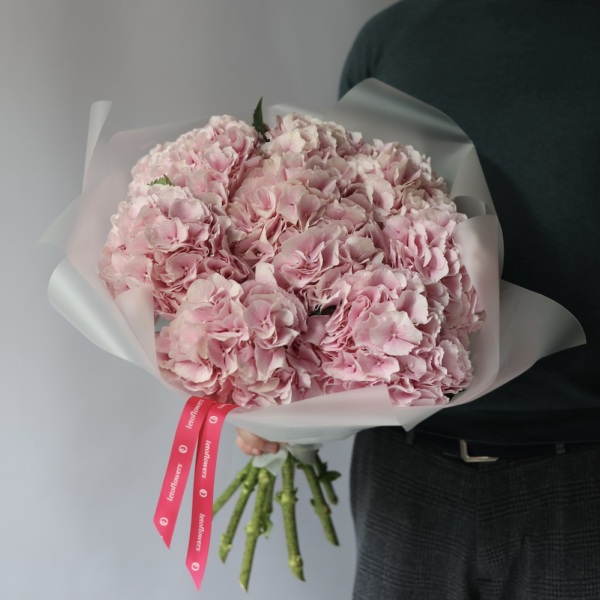 Pink Hydrangea -  9 гортензий 