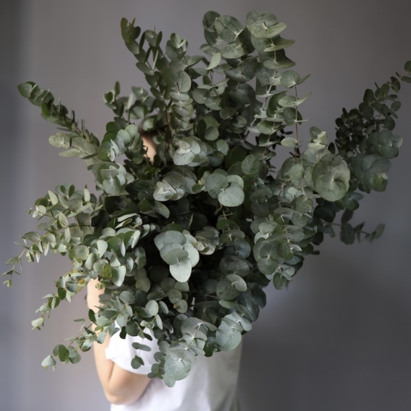 Greenery on a florist taste