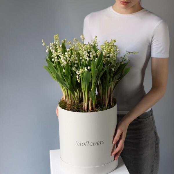 Lily of the Valley in a hat box - Размер L