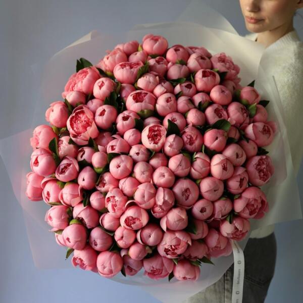 Salmon Peony - 101 пионов
