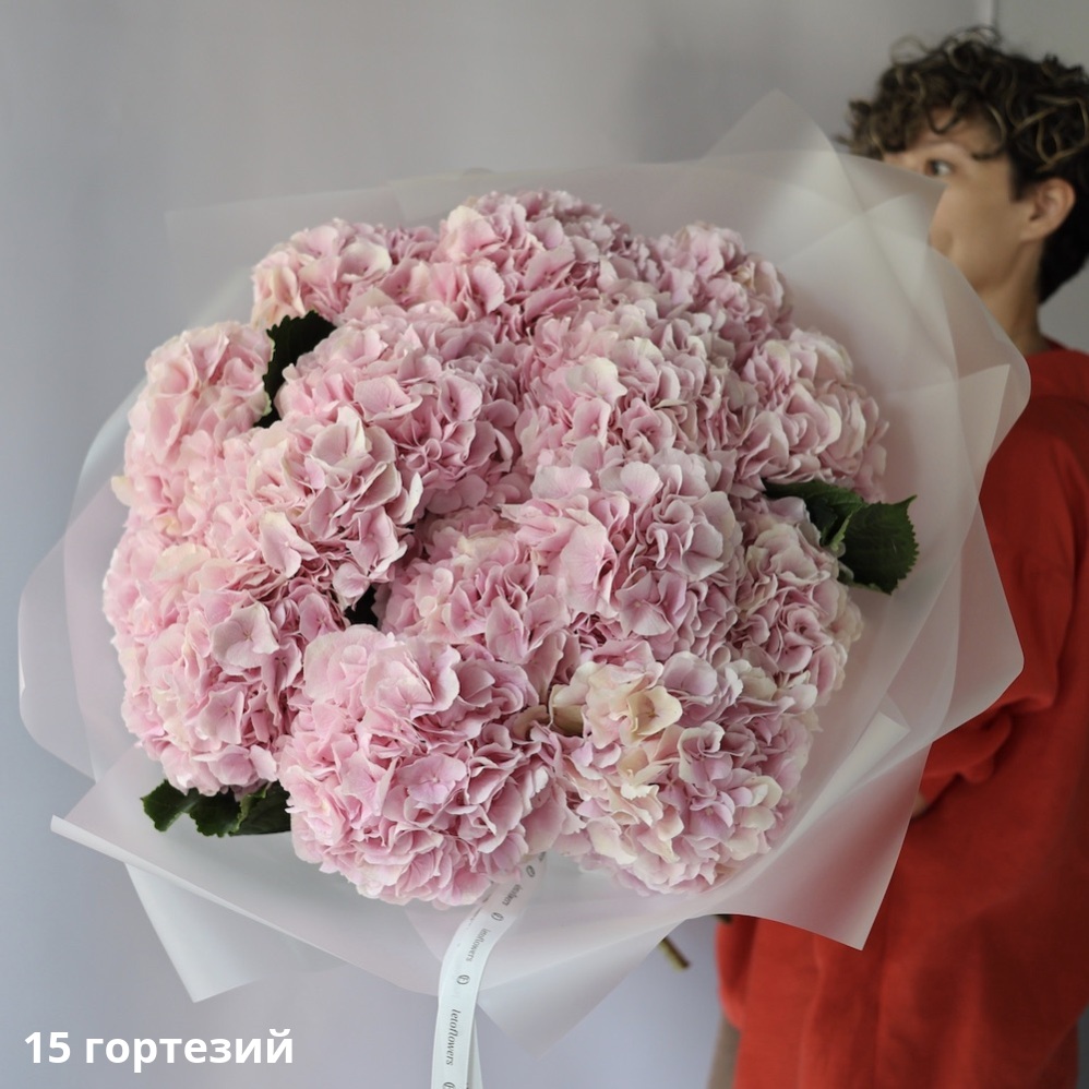 Pink Hydrangea Pink Hydrangea -  15 гортезий
