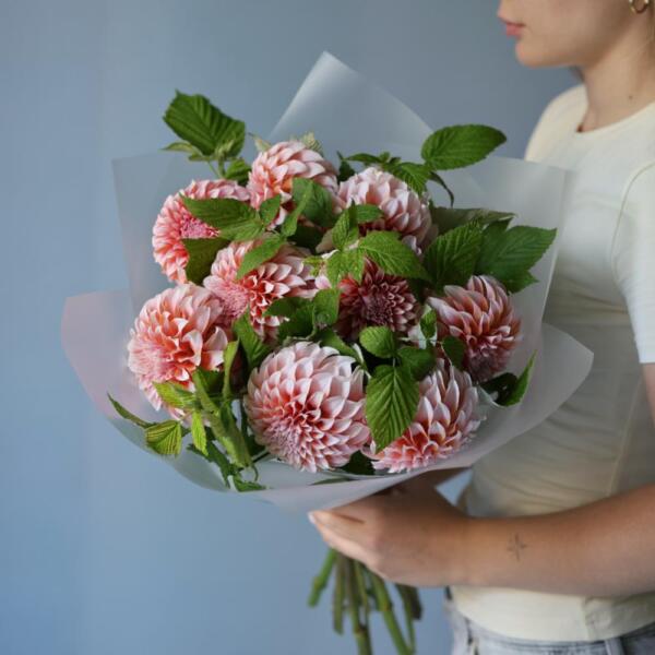 Peachy Dahlias - 9 георгин