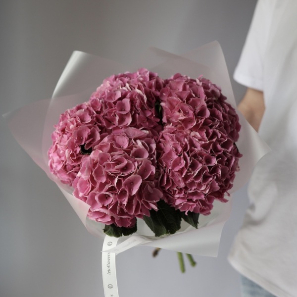 Bright pink Hydrangea - 5 гортезий
