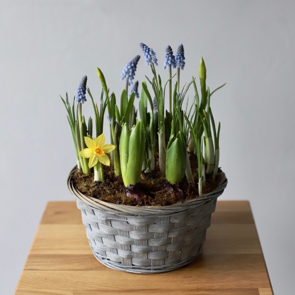 Spring flowers in a basket - Размер M