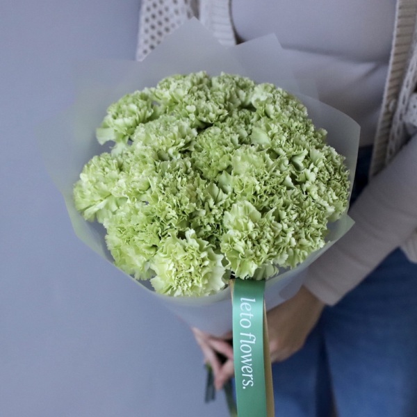 Green Carnations - 19 гвоздик
