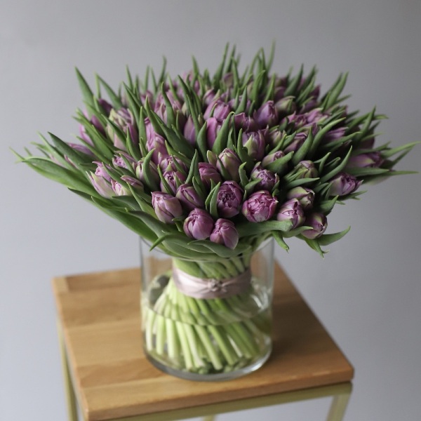 Tulips in a vase - 75 тюльпанов