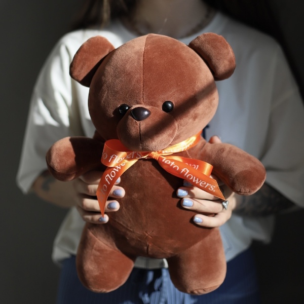 Teddy bear toy