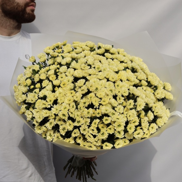 Spray Chrysanthemum -  49 хризантем 