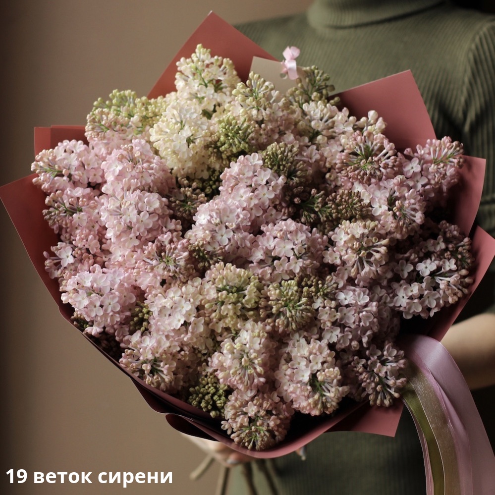 Pink Lilac Pink Lilac - 19 веток сирени
