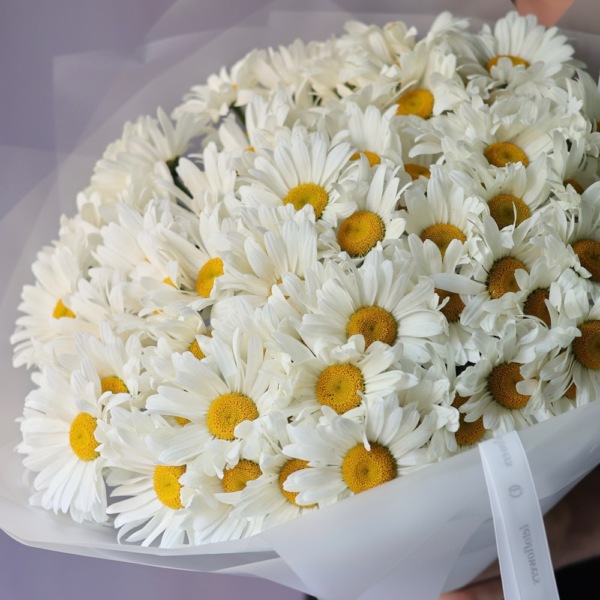 Large Chamomile - 75 ромашек