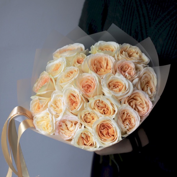 Princess Maya garden roses - 23 розы
