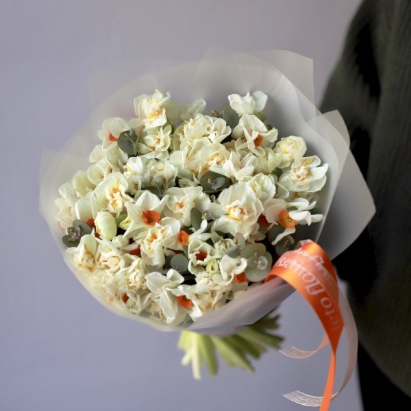 Mix of different Daffodils - 49 нарциссов