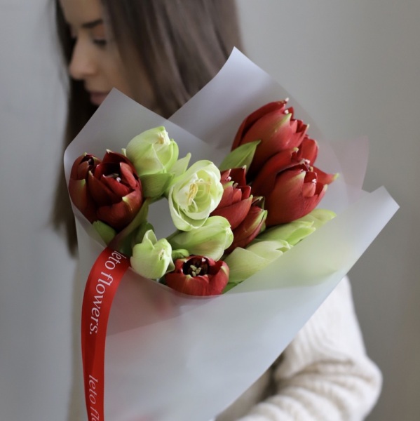 Mixed color Amaryllis - 9 амариллисов
