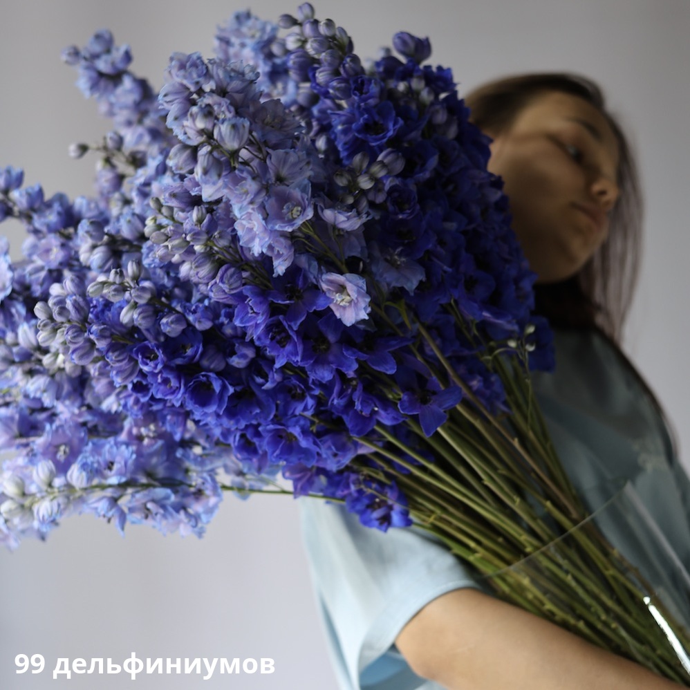 Delphinium in a vase Delphinium in a vase -  99 дельфиниумов