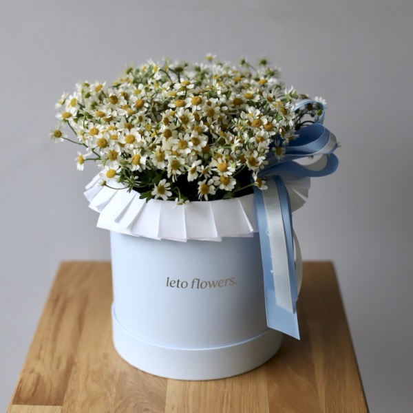 Daisies in a hat box - Размер S