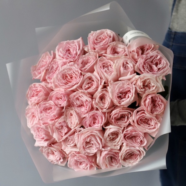 Pink Ohara Garden Rose - 35 роз 