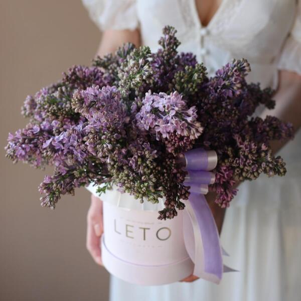 Lilac in a hat box - Размер S 