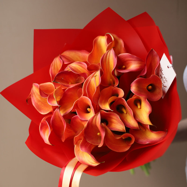 Red Calla Lilies - 29 калл 