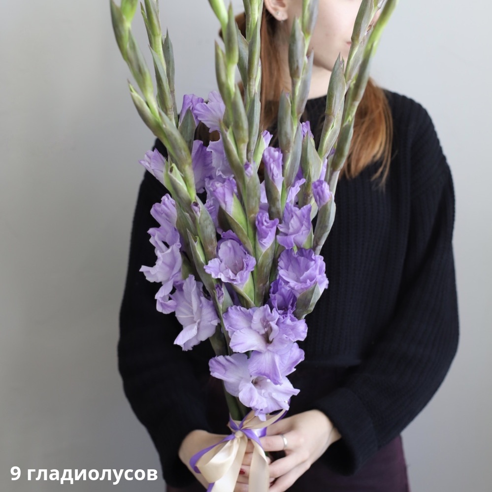 Lilac Gladiolus Lilac Gladiolus -  9 гладиолусов