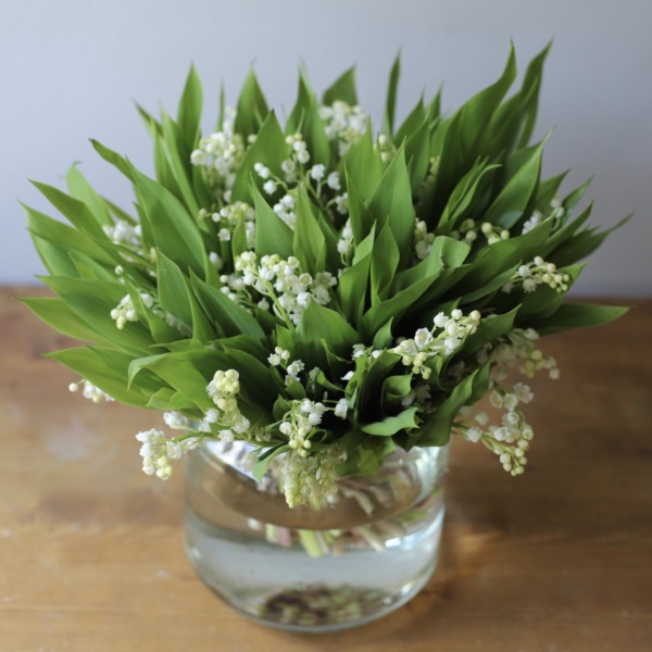 Lilies of the Valley in a vase