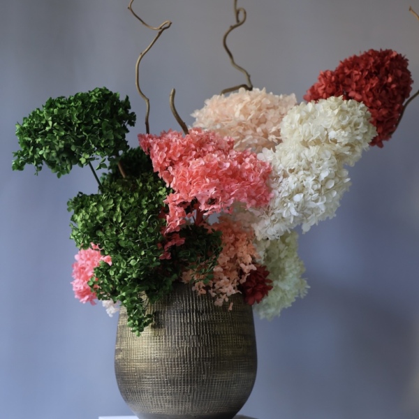 Arrangement of Preserved Hydrangeas in a Pot