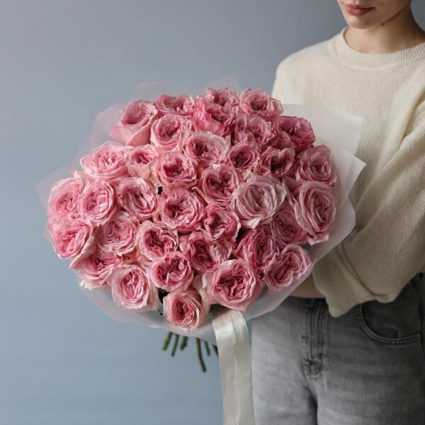 Pink Ohara Garden Rose - 35 роз