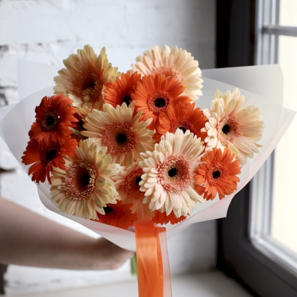 Mixed color Gerberas - 19 гербер