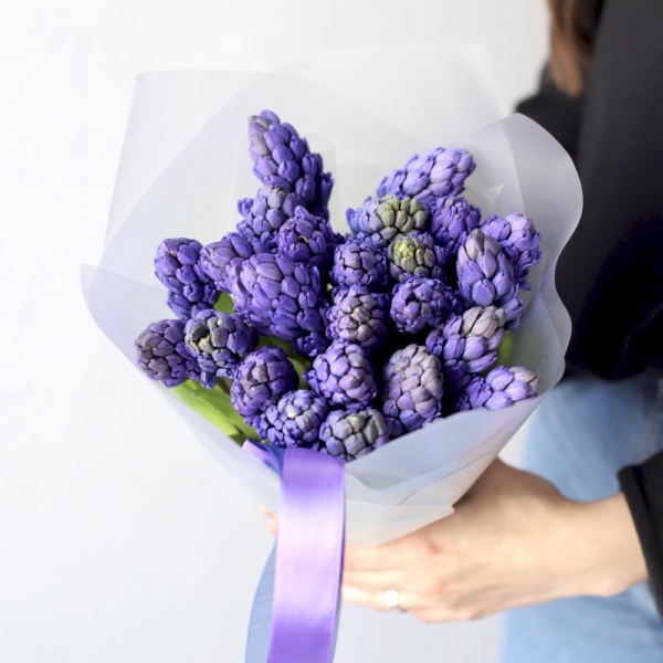 Blue Hyacinthus - 25 гиацинтов 