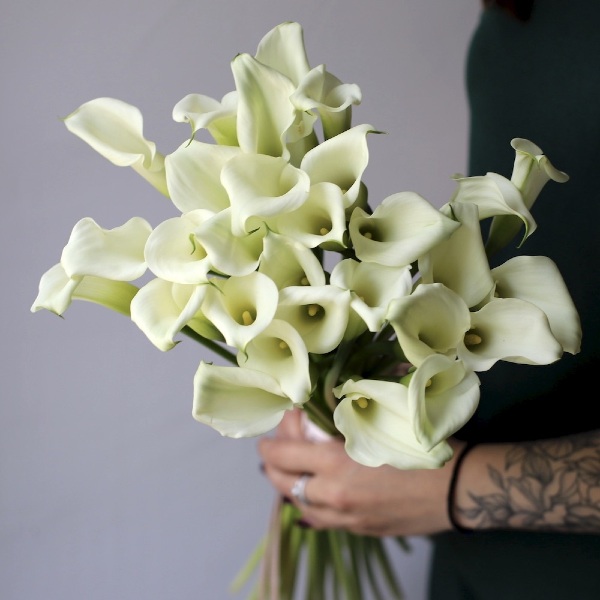 White Calla Lily - 29 калл