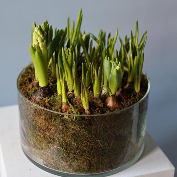 Весенние цветы в вазе - Размер L