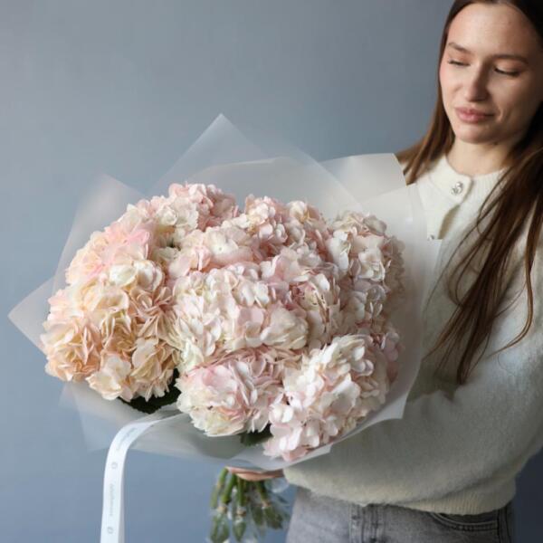 Colombian Hydrangeas - 11 гортензий