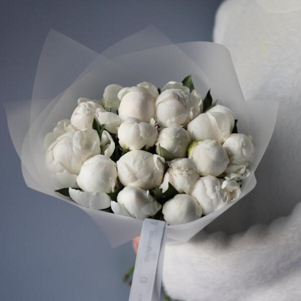 White Peony - 15 пионов